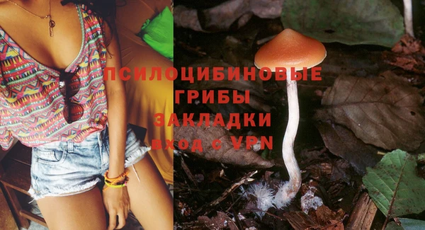 метадон Каменногорск