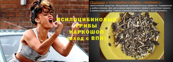 метадон Каменногорск