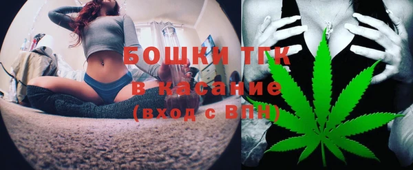 MESCALINE Каменка